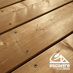 lame terrasse MELEZE - 25 x 145 mm - 3,00 ml - Non traité